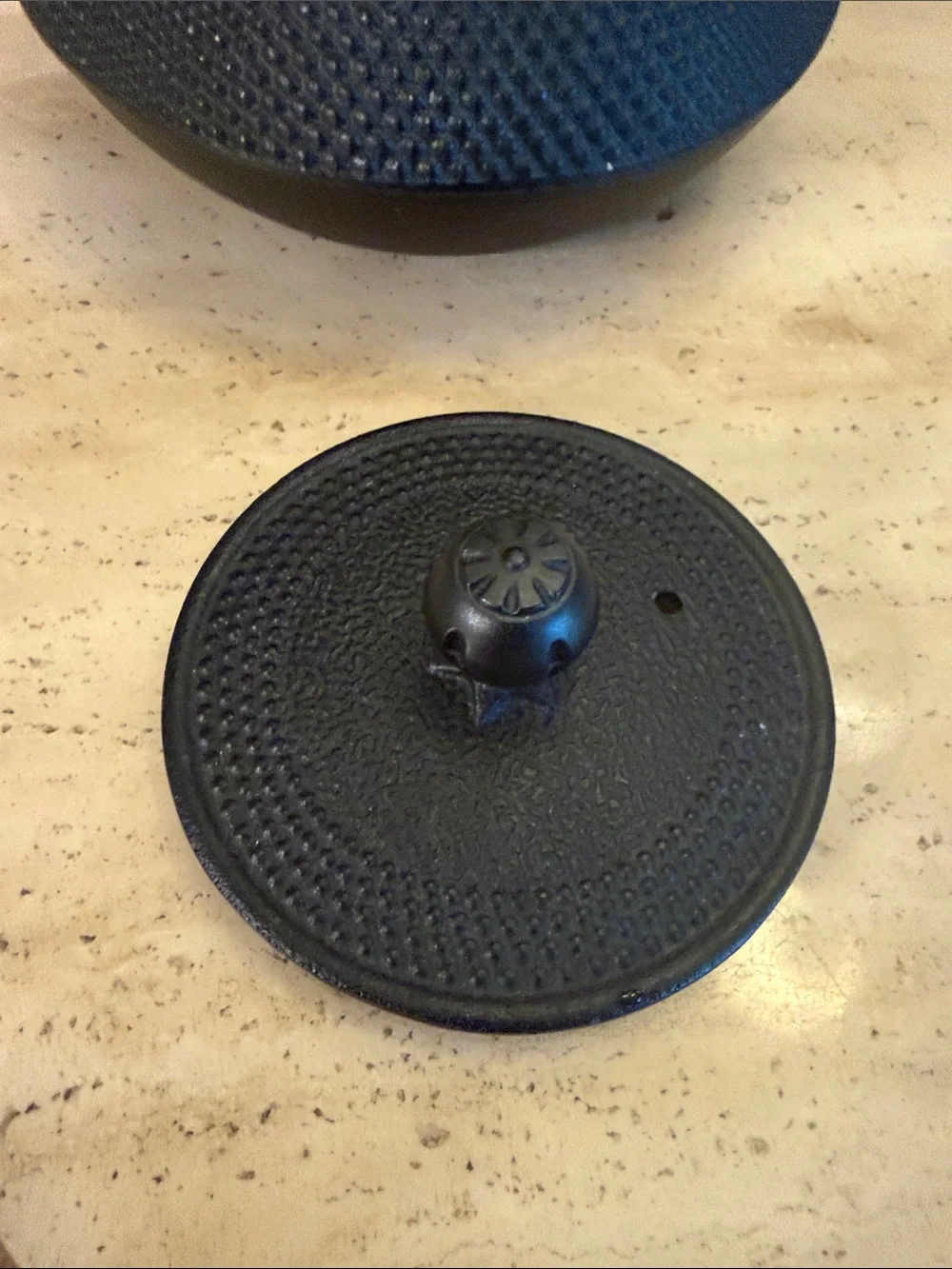 Cast Iron Black Japanese-Style Teapot with Handle
